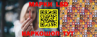 крисы Новокубанск