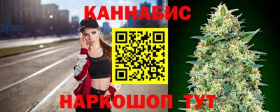 крисы Новокубанск