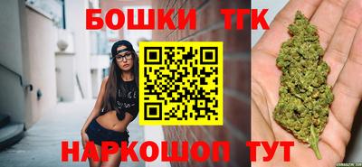 крисы Новокубанск