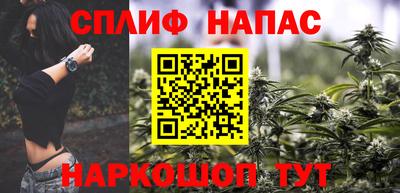 крисы Новокубанск