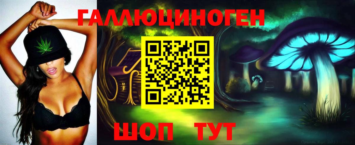 Галлюциногенные грибы MAGIC MUSHROOMS  Псилоцибиновые грибы Psilocybine cubensis  Северобайкальск  Вход с VPN 